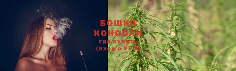 Бошки марихуана SATIVA & INDICA  где найти   Бежецк 